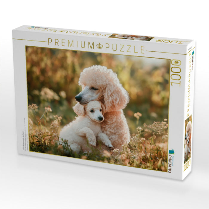 Zarte Umarmung in der Natur - CALVENDO Foto-Puzzle'