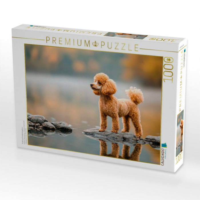 Pudel auf Entdeckungstour - CALVENDO Foto-Puzzle'