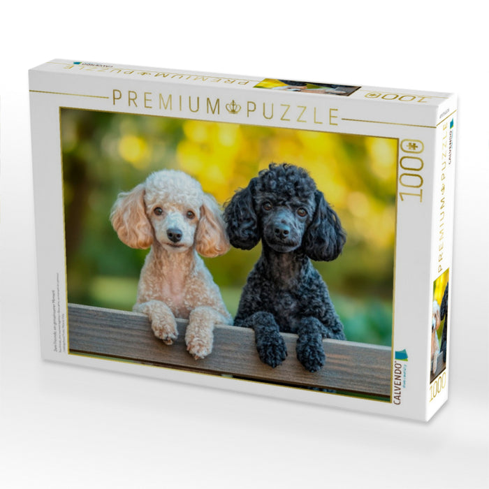 Zwei Freunde, ein gemeinsamer Moment - CALVENDO Foto-Puzzle'