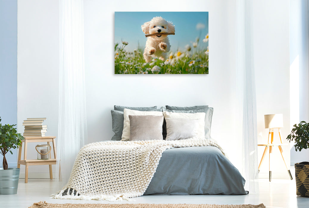 Premium Textil-Leinwand Pudelspaß unter blauem Himmel