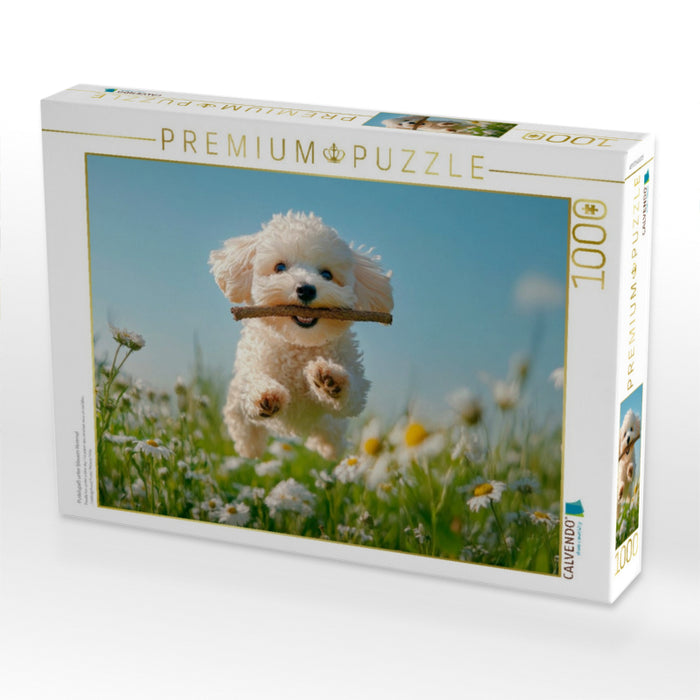 Pudelspaß unter blauem Himmel - CALVENDO Foto-Puzzle'