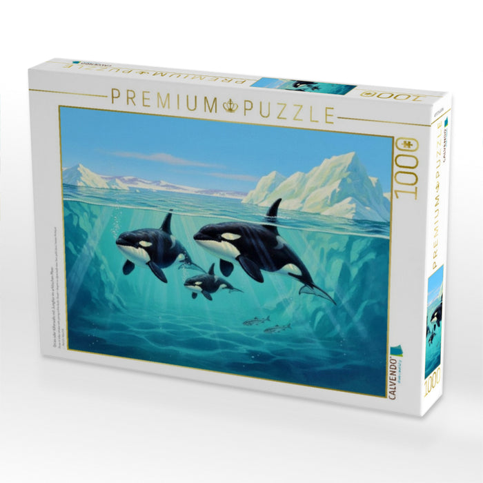 Orcas oder Killerwale mit Jungtier im arktischen Meer - CALVENDO Foto-Puzzle'