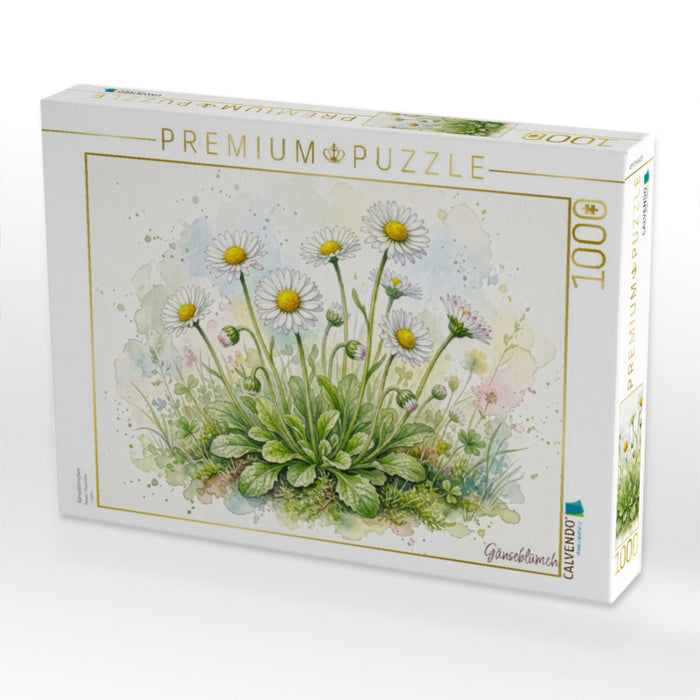 Gänseblümchen - CALVENDO Foto-Puzzle'