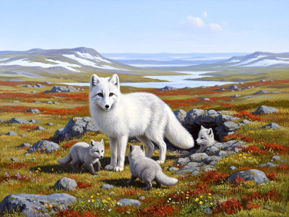 Polarfuchs mit Jungtieren in der Tundra - CALVENDO Foto-Puzzle'