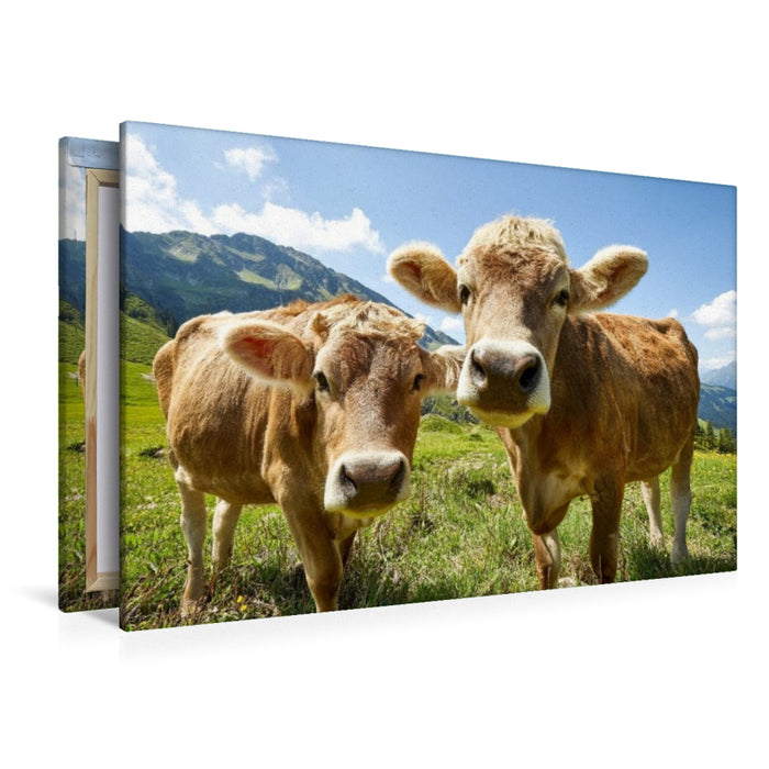 Premium Textil-Leinwand Ein Foto fürs Familienalbum