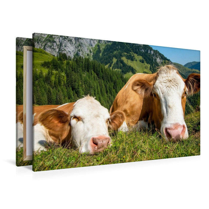 Premium Textil-Leinwand So haben sie es gern