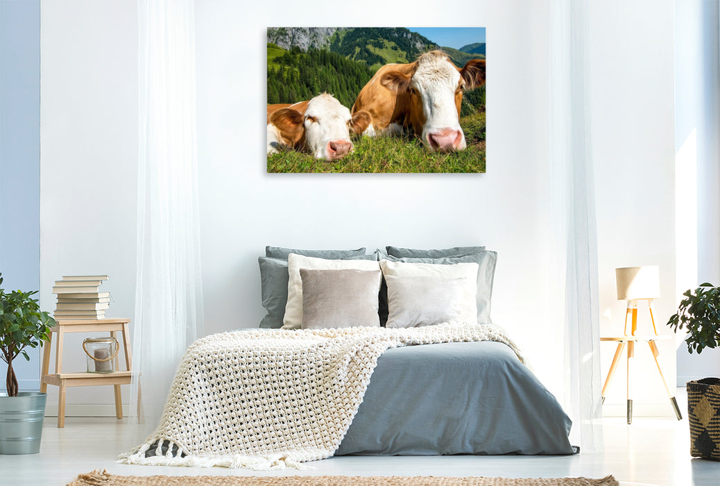 Premium Textil-Leinwand So haben sie es gern