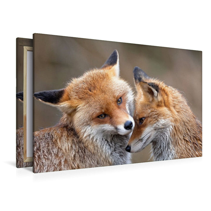 Premium Textil-Leinwand Fuchs - Glück
