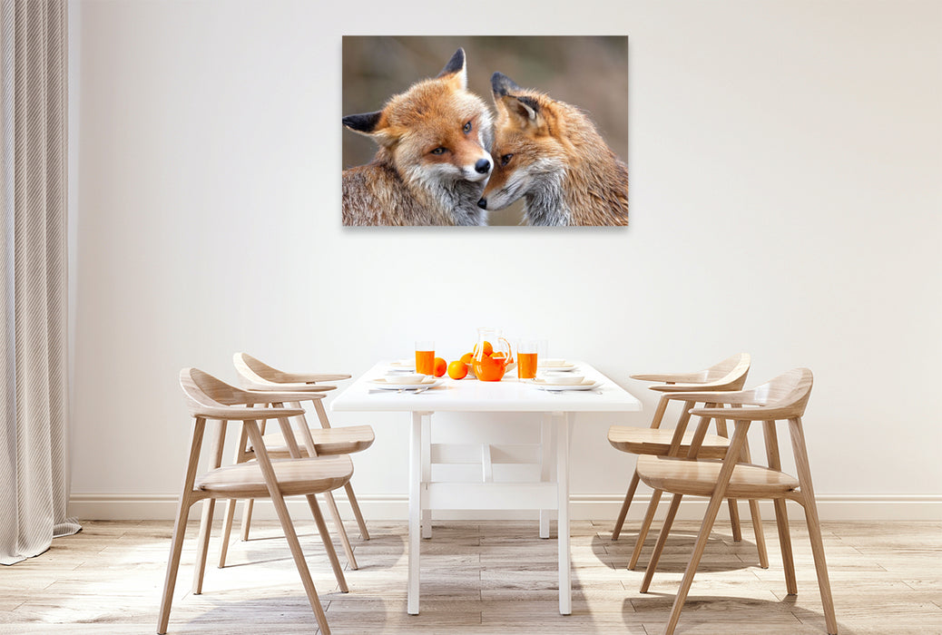 Premium Textil-Leinwand Fuchs - Glück