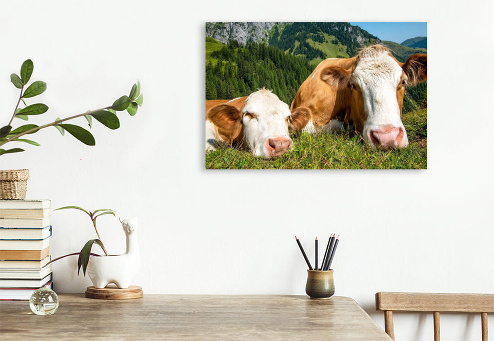 Premium Textil-Leinwand So haben sie es gern