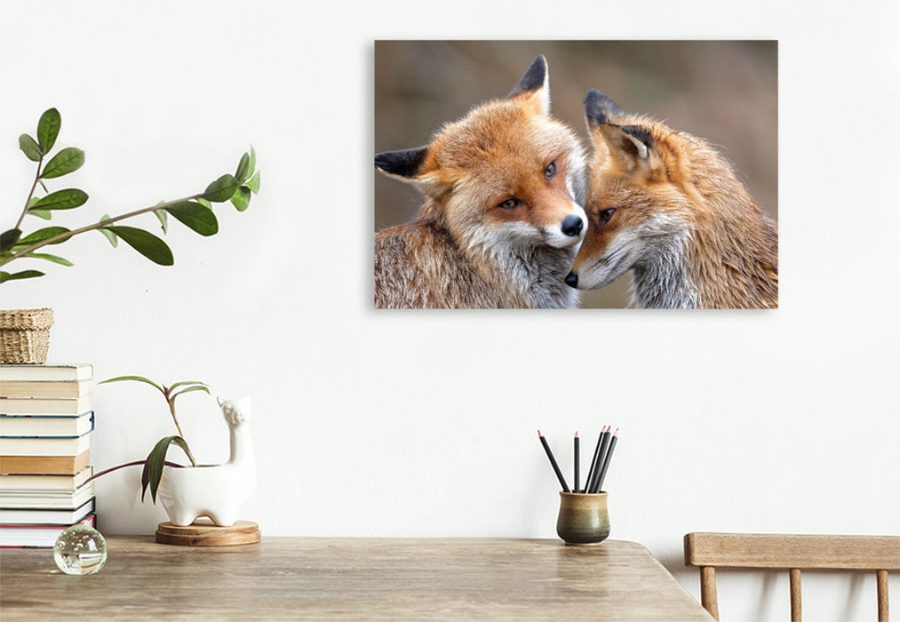 Premium Textil-Leinwand Fuchs - Glück