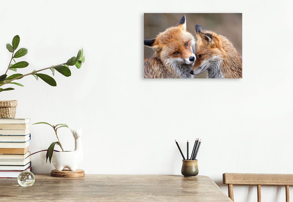 Premium Textil-Leinwand Fuchs - Glück