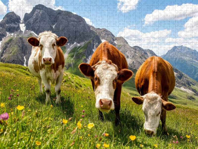 Hier schmeckt es wirklich saftig - CALVENDO Foto-Puzzle'