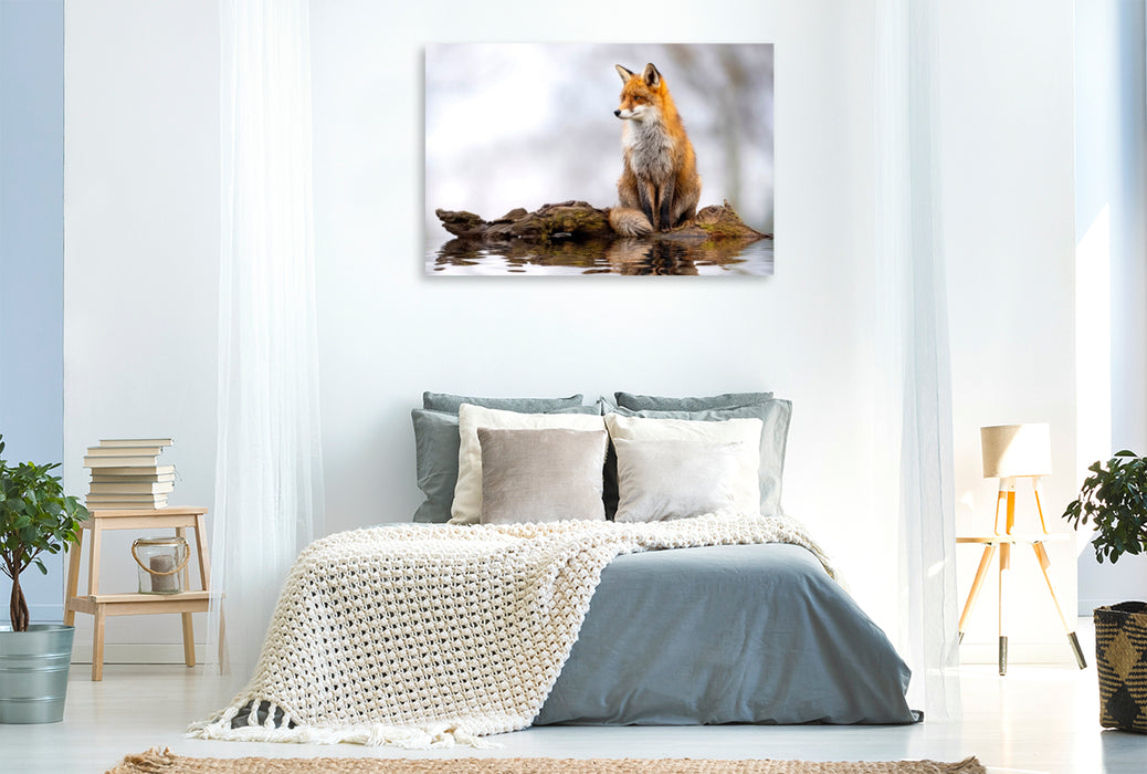 Premium Textil-Leinwand Ein berührender Anblick - magisch und wunderschön