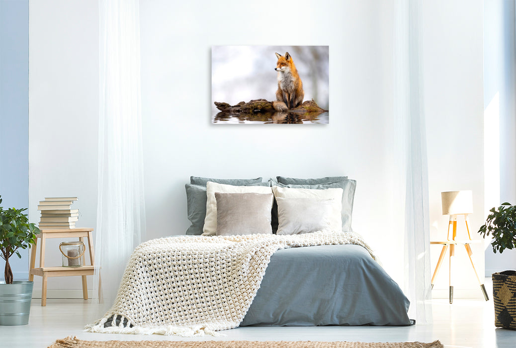 Premium Textil-Leinwand Ein berührender Anblick - magisch und wunderschön