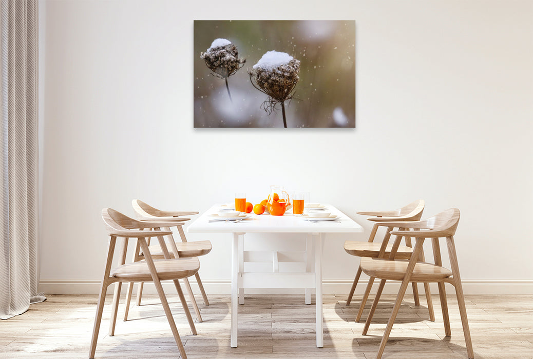 Premium Textil-Leinwand Wilde Möhre im Winter