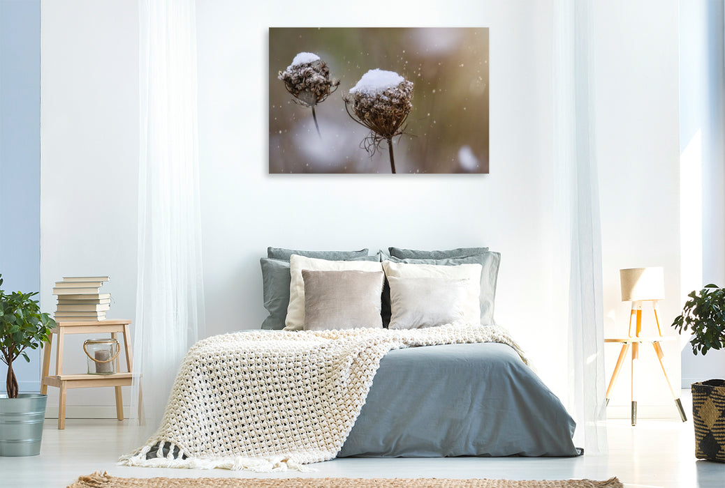 Premium Textil-Leinwand Wilde Möhre im Winter