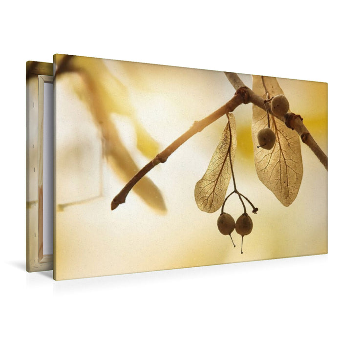 Premium Textil-Leinwand Lindensamen