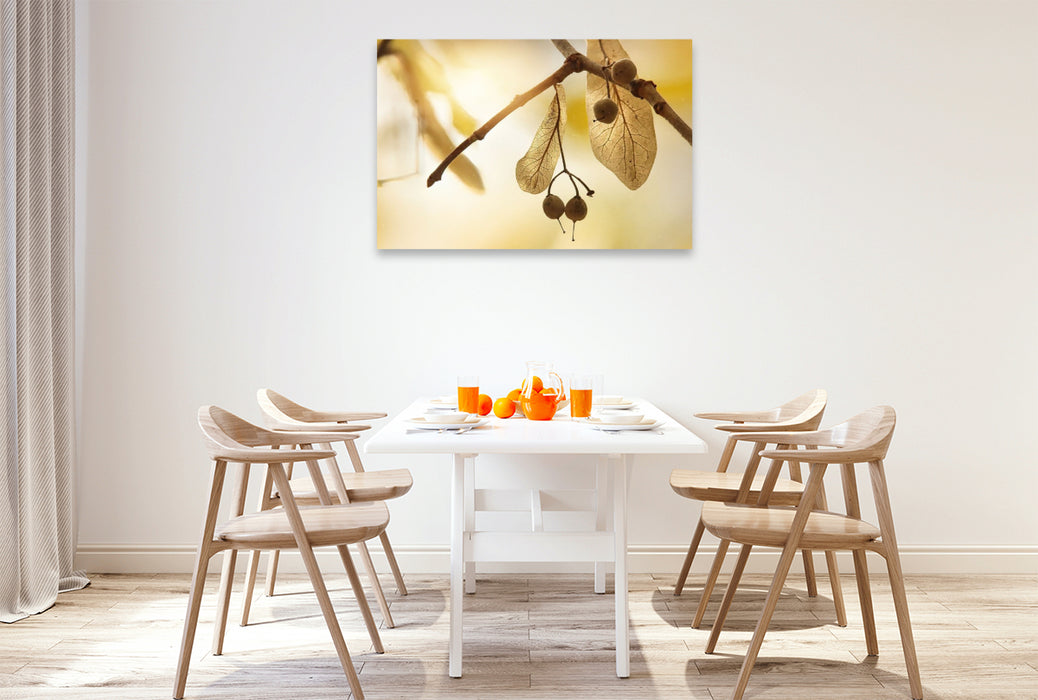 Premium Textil-Leinwand Lindensamen