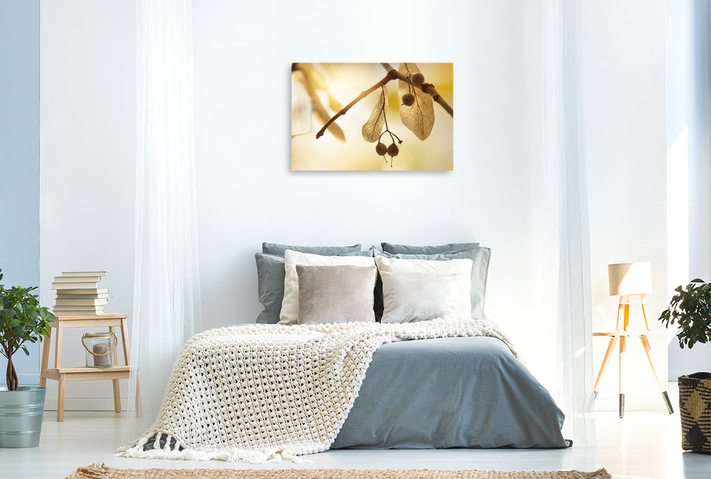 Premium Textil-Leinwand Lindensamen