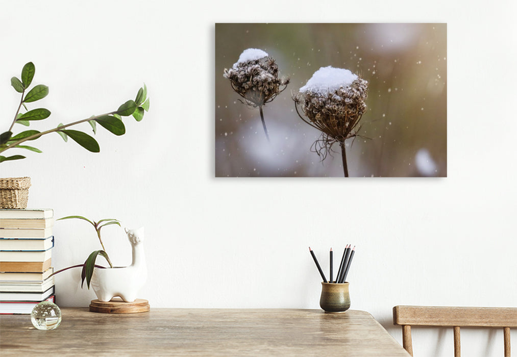 Premium Textil-Leinwand Wilde Möhre im Winter