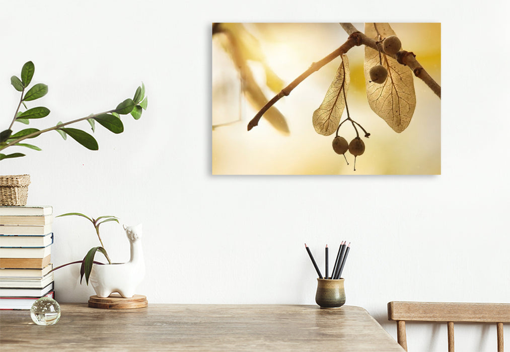 Premium Textil-Leinwand Lindensamen