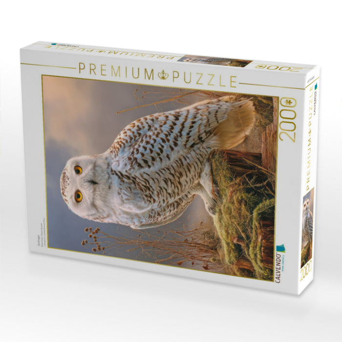 Greifvögel - CALVENDO Foto-Puzzle'