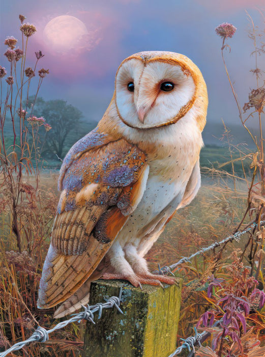 Greifvögel - CALVENDO Foto-Puzzle'