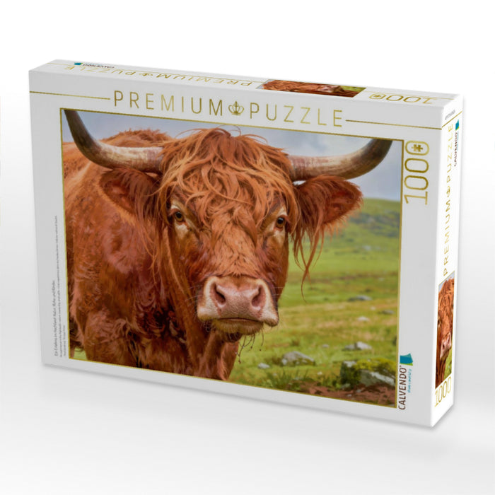 Ein Erlebnis im Hochland: Natur, Ruhe und Rinder. - CALVENDO Foto-Puzzle'