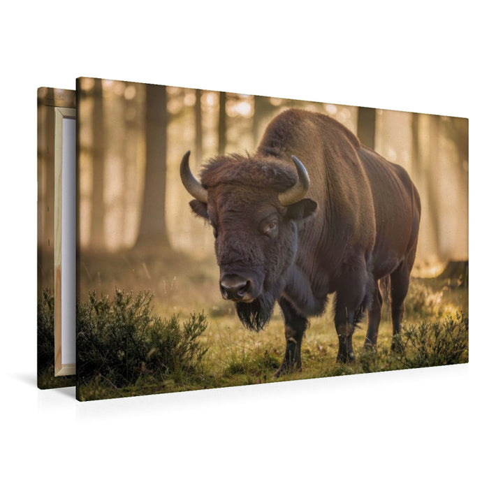 Premium Textil-Leinwand Erlebe die Kraft der Natur – so groß wie nie zuvor.