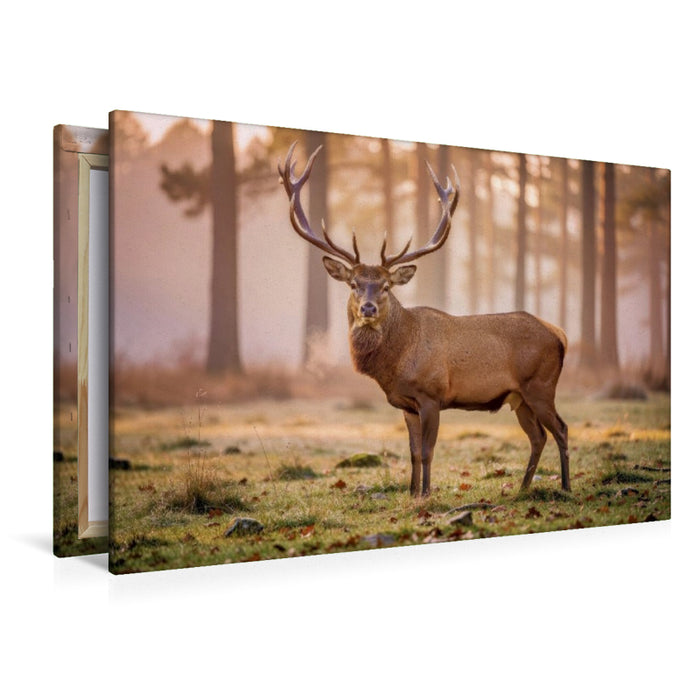 Premium Textil-Leinwand Stark. Majestätisch. Made in Germany.