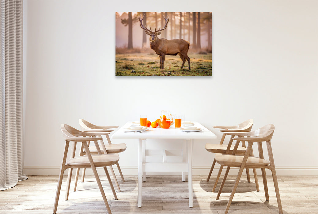 Premium Textil-Leinwand Stark. Majestätisch. Made in Germany.