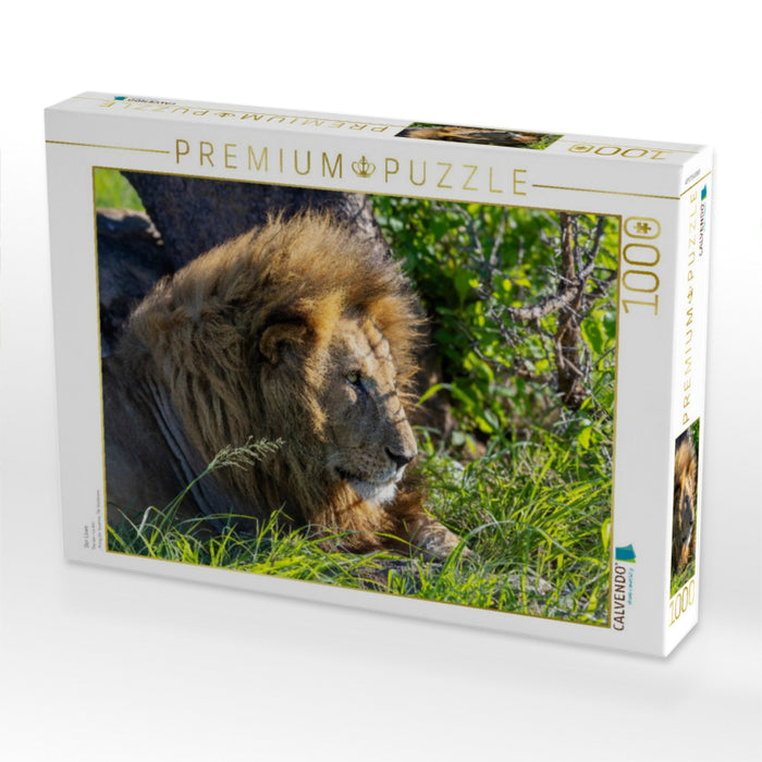 Der Löwe - CALVENDO Foto-Puzzle'