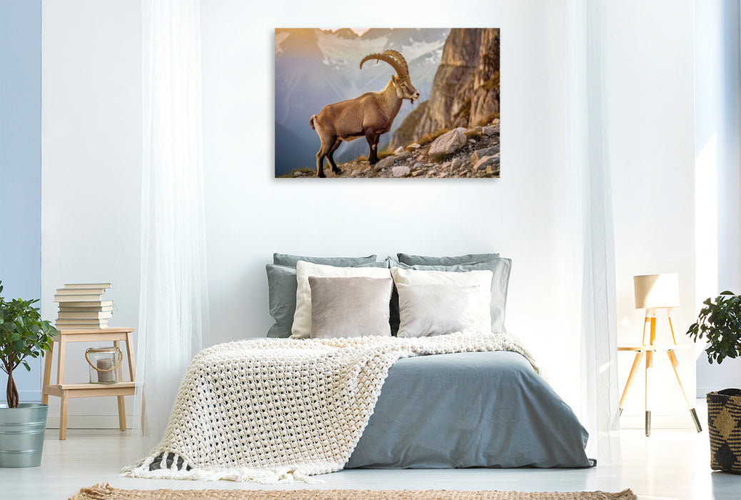 Premium Textil-Leinwand Deutschlands beeindruckendste Tiere im Fokus.