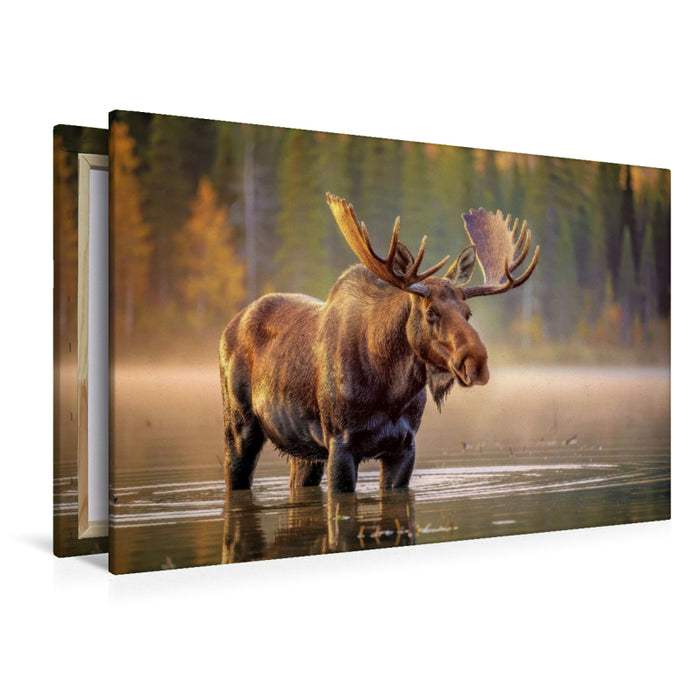 Premium Textil-Leinwand Entdecke Deutschlands Naturgiganten.