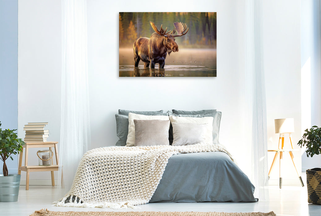 Premium Textil-Leinwand Entdecke Deutschlands Naturgiganten.