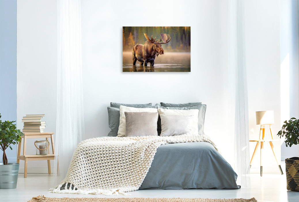 Premium Textil-Leinwand Entdecke Deutschlands Naturgiganten.