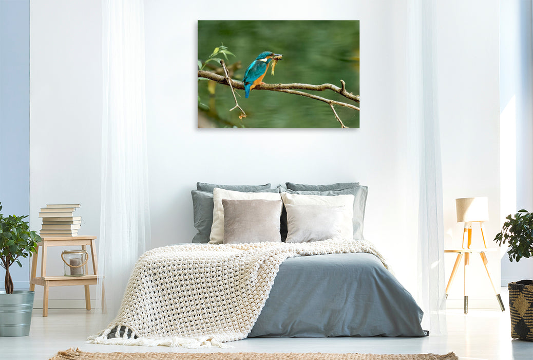 Premium Textil-Leinwand Mitteleuropäischer Eisvogel an der Ahr