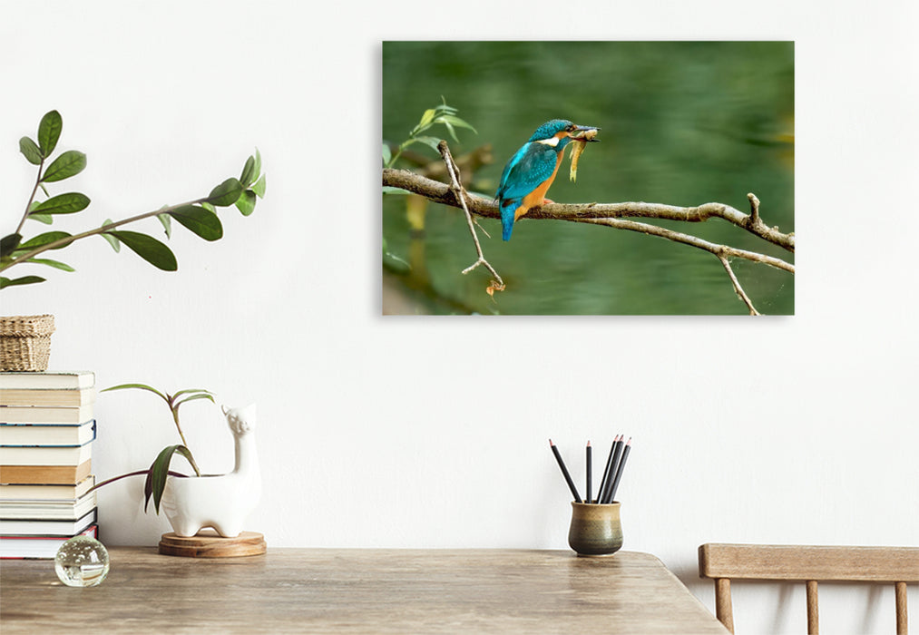 Premium Textil-Leinwand Mitteleuropäischer Eisvogel an der Ahr