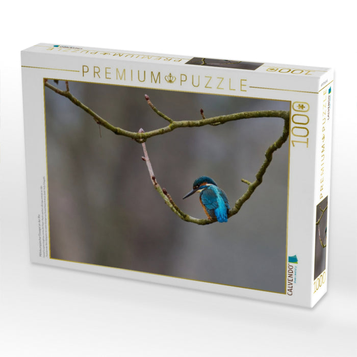 Mitteleuropäischer Eisvogel an der Ahr - CALVENDO Foto-Puzzle'