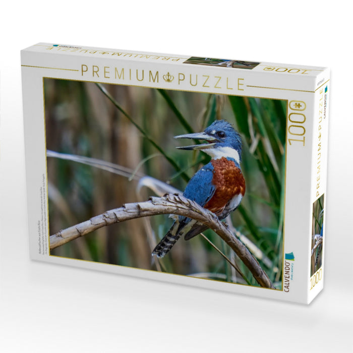 Rotbrustfischer aus Costa Rica - CALVENDO Foto-Puzzle'
