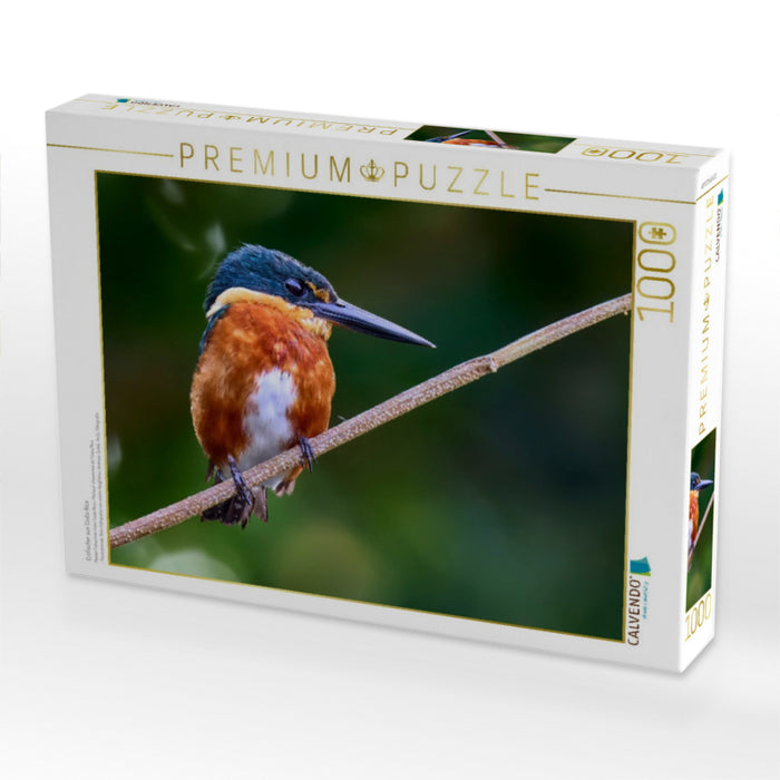 Erzfischer aus Costa Rica - CALVENDO Foto-Puzzle'