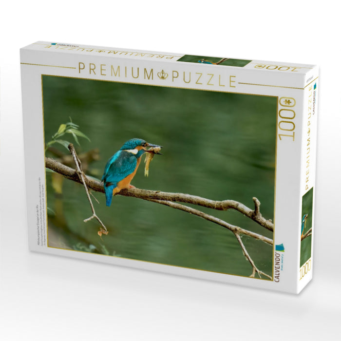Mitteleuropäischer Eisvogel an der Ahr - CALVENDO Foto-Puzzle'