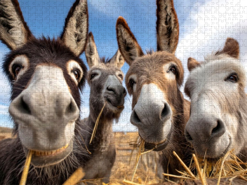 Wir lieben dieses Stroh - CALVENDO Foto-Puzzle'