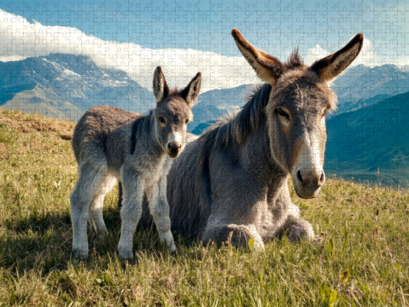 Wir genießen diesen Frühlingstag gemeinsam - CALVENDO Foto-Puzzle'