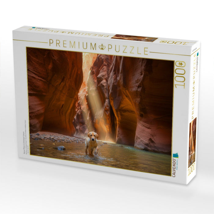 Nasse Pfoten im Antelope Canyon - CALVENDO Foto-Puzzle'