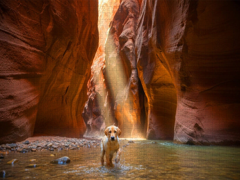 Nasse Pfoten im Antelope Canyon - CALVENDO Foto-Puzzle'