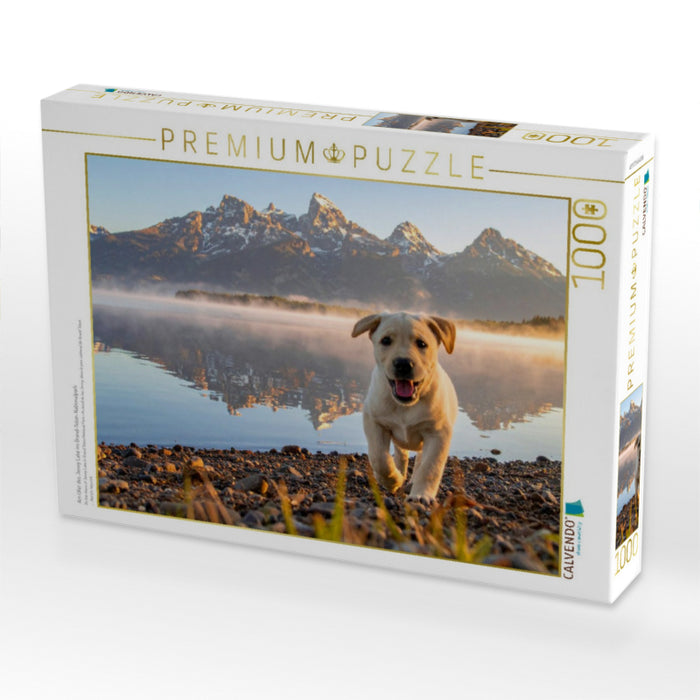 Am Ufer des Jenny Lake im Grand-Teton-Nationalpark - CALVENDO Foto-Puzzle'
