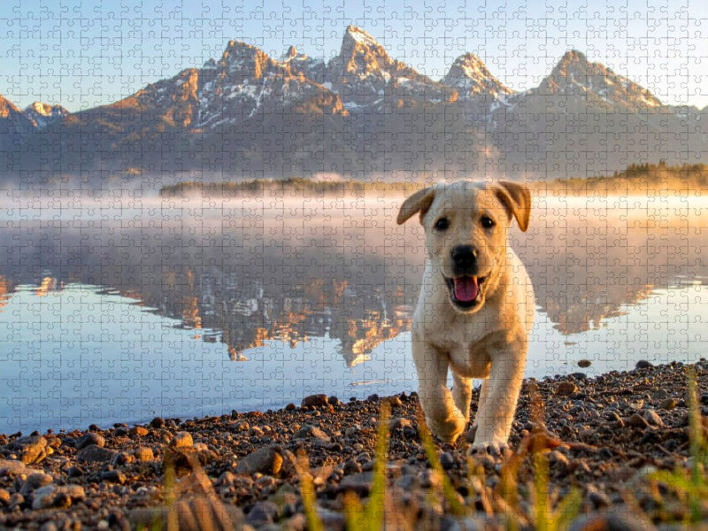Am Ufer des Jenny Lake im Grand-Teton-Nationalpark - CALVENDO Foto-Puzzle'