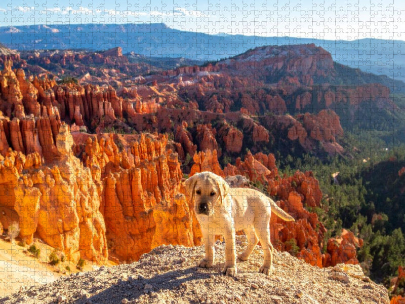 Besuch im Bryce Canyon mit Labrador - CALVENDO Foto-Puzzle'